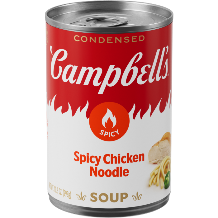 Spicy Chicken Noodle Soup
